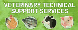 globalvets lab en